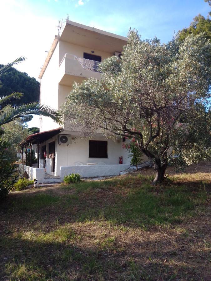 Anemos Studios Vasilias  Exterior foto
