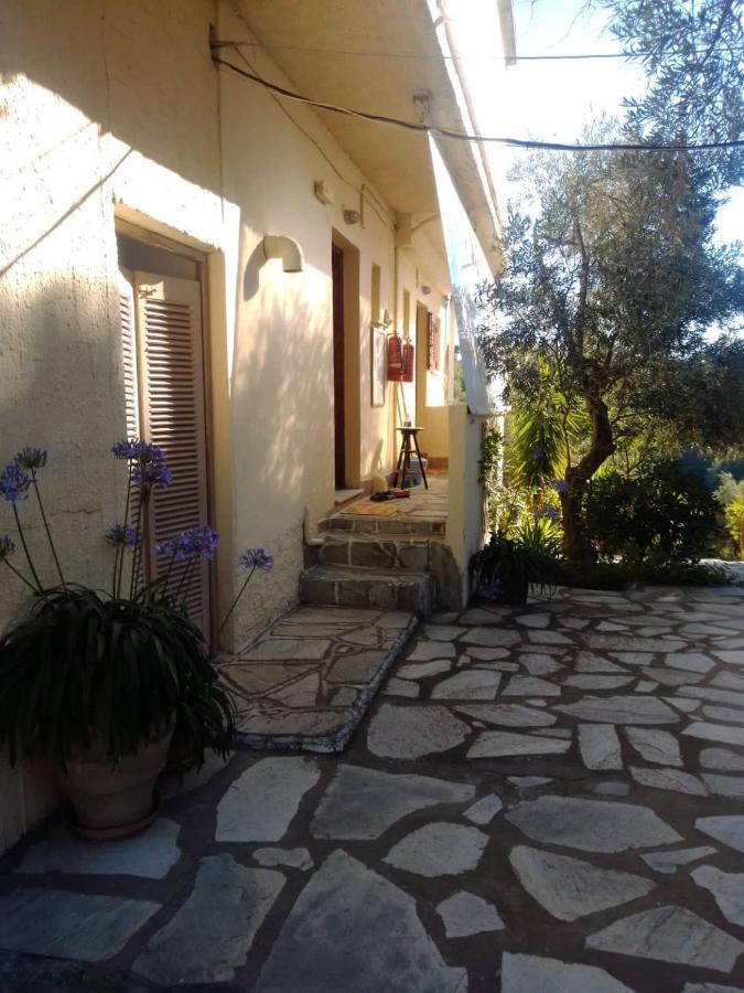 Anemos Studios Vasilias  Exterior foto