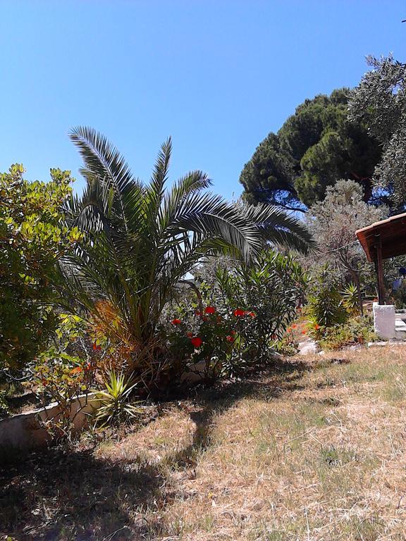 Anemos Studios Vasilias  Exterior foto